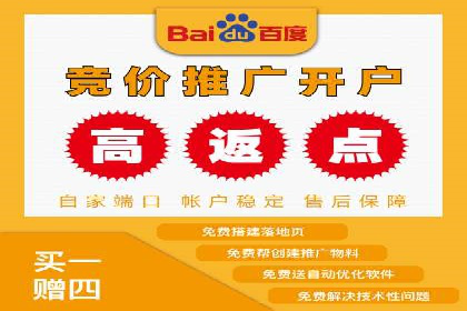 竞价排名与自然排名的对比案例